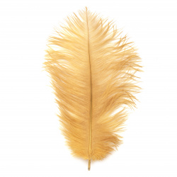 Ostrich feather for decoration 200~300 mm ocher color