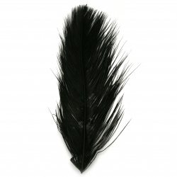 Щраусово перо цвят черен 300±350 мм