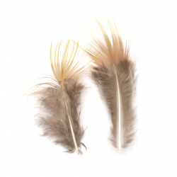 Feather for decoration 30~70 mm color orange and gray - 10 pieces