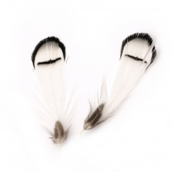 Feather for decoration 60~80 mm color white and  black - 10 pieces