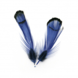 Feather for decoration 30~60 mm color blue and  black - 10 pieces