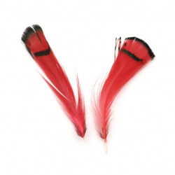 Feather for decoration 30~80 mm color red and black - 10 pieces