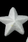 Αστέρι φελιζόλ 50 mm λευκό -5 τεμάχια