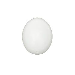 Plastic egg 60x45 mm with one hole 3 mm white - 5 pieces