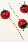 24 mm Styrofoam ladybug with wire -10 pieces for Hobby Craft Decoration