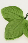 Frunze textile  trandafir verde 60x40 mm 50 mm -10 bucăți