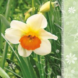 Napkin for Decoupage Decoration, 3-ply, 33x33 cm, 1 piece