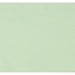 2-Ply Paper Napkin for Decoupage / 33x33 cm / Light Green - 1 piece