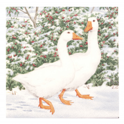 Napkin HOME FASHION for decoupage33x33 cm three-layer Geese Couple -1 piece