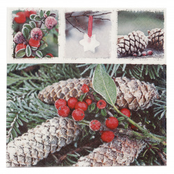 Napkin for decoupage HOME FASHION 33x33 cm three-layer Red Frozen Berries -1 piece