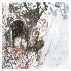 3-Ply Paper Napkin for Decoupage AMBIENTE / Barn Owl / 33x33 cm   - 1 piece