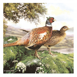 Χαρτοπετσέτα Ambiente 33x33 cm Pheasant -1 τεμάχιο