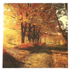 Decoupage napkin Ambiente 33x33 cm three-layer Autumn Park -1 piece