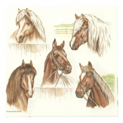 Decoupage napkin Ambiente 25x25 cm three-layer Horse Range -1 piece