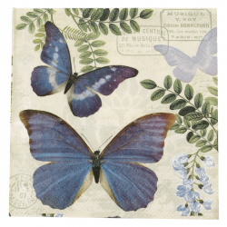 Decoupage napkin Ambiente 25x25 cm three-layer Blue Morpho -1 piece