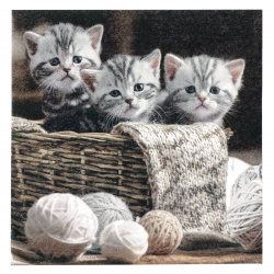 Салфетка ti-flair 33x33 см трипластова Striped Kittens -1 брой