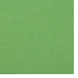 Pâslă 1 mm A4 20x30 cm culoare verde -1 bucată
