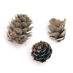 Decorative Pine Cones, 26~36x24~32 - 10 Pieces