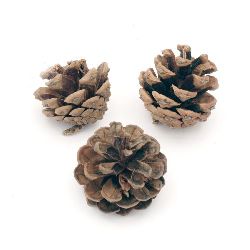 Decorative Pine Cones, 40~45x40~45 mm - Pack of 5