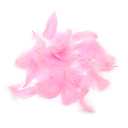 Pene decorative potrivite pentru decor, culoare roz - 10 grame
