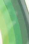 Benzi Quilling (hartie 130 g) 2 mm / 35 cm - 5 culori gama verde -100 buc