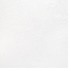 Carton perlete unilateral reliefat cu frunze 300 g / m2 A4 (21x 29,7 cm) alb -1 buc