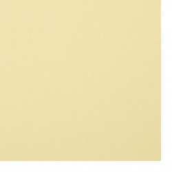 Χαρτόνι περλέ διπλής όψης 250 g / m2 Α4 (297x210 mm) ασημί χρυσό - 1 φύλλο