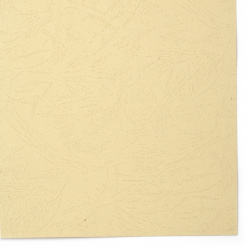 Carton 220 g / m2 relief A4 (21x 29,7 cm) bej