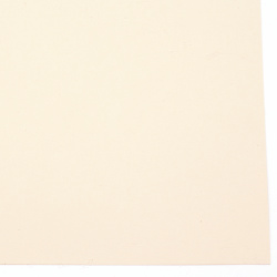 Фотокартон 300 гр/м2 А4 FOLIA light beige -50 листа