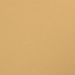 Carton perlat pe o singură față cu relief 250 g/m2 A4 (21x 29,7 cm) culoare auriu - 1 bucată