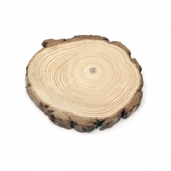 Ροδέλα από κορμό ξύλου 90~100x10 mm - 1 τεμάχιο