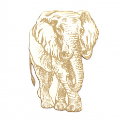 Ελέφαντας από χαρτόνι Chipboard 110x75 mm