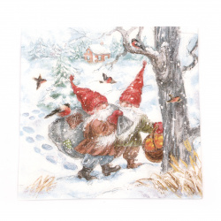 Napkin for decoupage Ambiente 33x33 cm three-layer HEY HO -1 piece