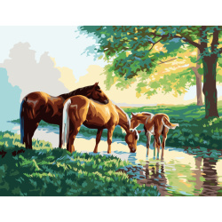 Paint by Number Kit, Horses at Watering Hole / 30x40 cm -  ms 8051