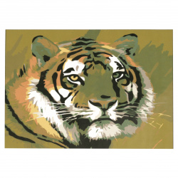 Set pictură după cifre 20x30 cm - Tiger msa0068
