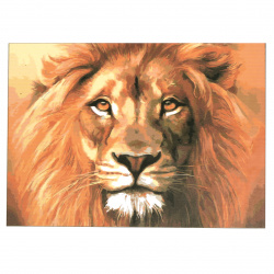Ζωγραφική με αριθμούς30x40 cm - λιοντάρι Ms7406