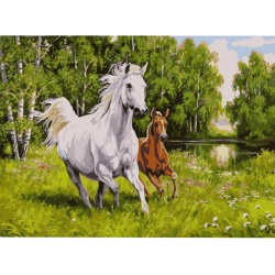 Ζωγραφική με αριθμούς 40x50 cm -Καλπάζων άλογο και πουλάρι Ms8443