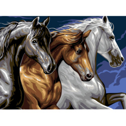 Σετ ζωγραφικής με αριθμούς 40x50 cm - Άγρια άλογα Ms9194