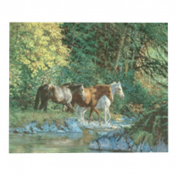 DIY Diamond Painting 40x50 cm with a Frame, Full Drill, Round Diamonds, Home Wall Decoration - Horses by the River YSG0051