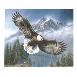 Diamond Painting 40x50 cm with a Frame, Full Drill, Round Diamonds, Home Wall Decor  - Eagle Flight YSG0068