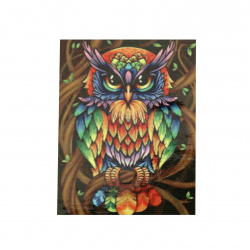 Diamond Painting 30x40 cm with a Frame, Crystal Mosaic Art, Round Diamonds, Full Drill - Colorful Owl YSG1337