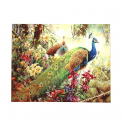 DIY Diamond Painting 40x50 cm with a Frame, Full Drill, Round Diamonds, Home Wall Decoration - Colorful Peacocks YSG0222