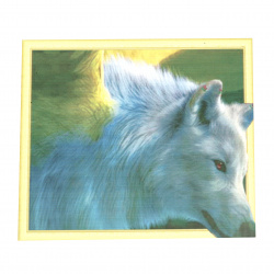 Πίνακας με ψηφίδες (στρόγγυλες) 3D 40x50 cm με κορνίζα - White wolf LT0338