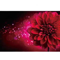 Diamond Painting, 20x30 cm, Round Diamonds, Full Drill with Frame - The Red Flower YSB094