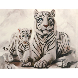 Diamond Painting 20x30 cm,  Round Diamonds, Full Drill with Frame - White Bengal Tigers YSB146