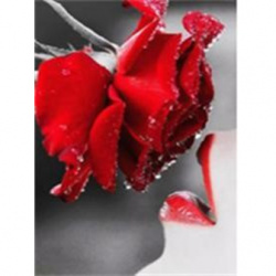 Πίνακας με ψηφίδες (στρόγγυλες) 21x25 cm μερική κόλληση - Κόκκινο τριαντάφυλλο YSA0363