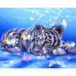 Πίνακας με ψηφίδες (στρόγγυλες) 21x25 cm μερική κόλληση - Ονειροπόλος τίγρης YSA1438