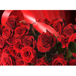 Diamond Painting / 30x40cm /  Round Diamonds / Full Drill with Frame - Red Roses, YSG4313