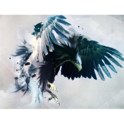 Full Drill Diamond Painting with Frame / 30x40 cm / Round Diamonds - The Eagle, YSG7079