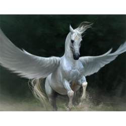 Full Drill Diamond Painting with Frame / 30x40 cm / Round Diamonds - The White Pegasus, YSG7431